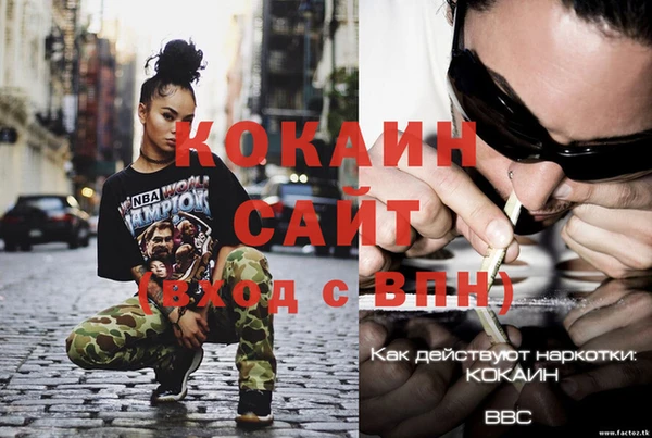 Альфа ПВП Осинники