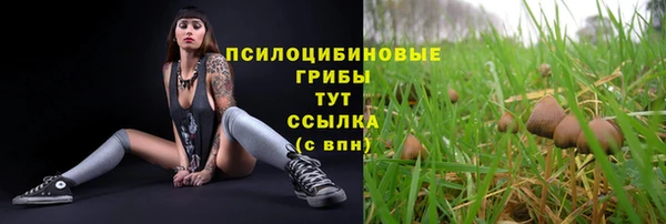 мдма Осташков