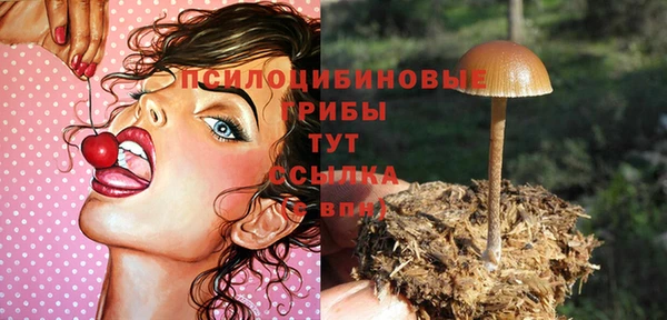 мдма Осташков
