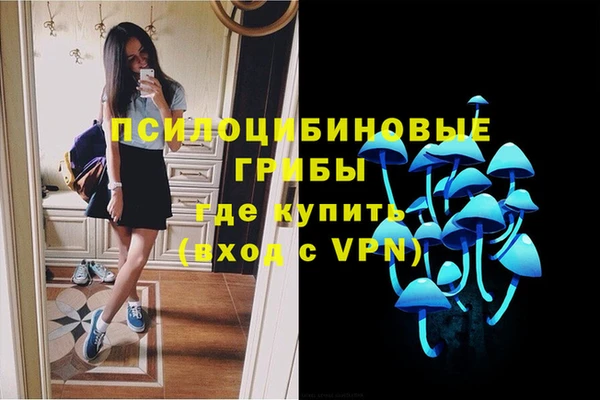 Альфа ПВП Осинники