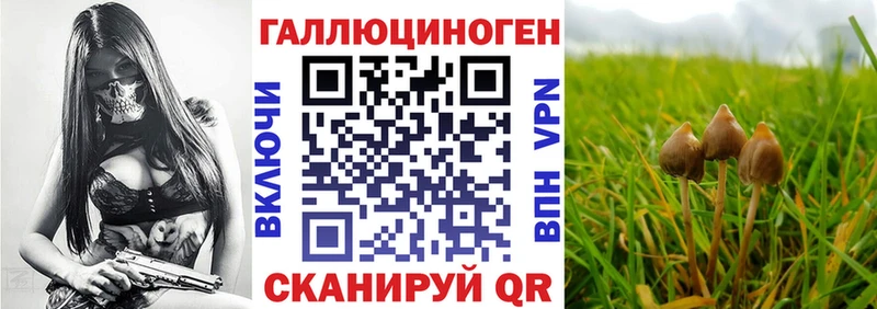 что такое   Вязьма  Галлюциногенные грибы мухоморы 