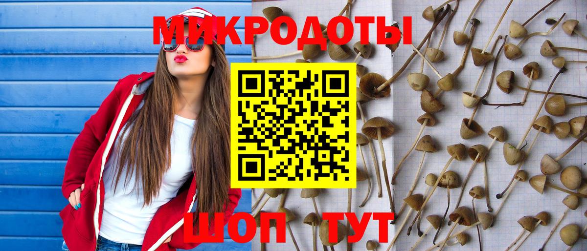 Псилоцибиновые грибы мухоморы Вязьма