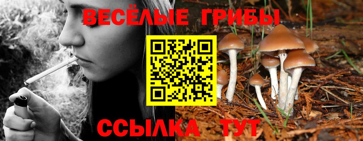 Галлюциногенные грибы Magic Shrooms Вязьма